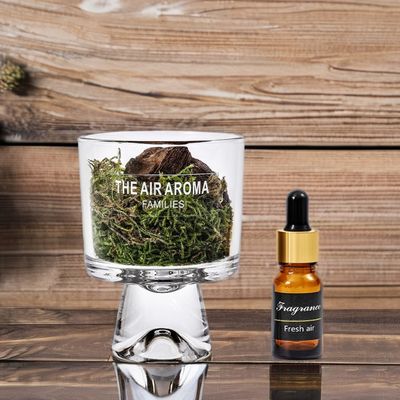 Difusor de mosos de aceite perfumado de vidrio de 100 ml para decoración elegante del hogar Regalo de perfume inspirado en la naturaleza