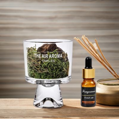 Diseñador 100ml Moss Diffuser Set Regalo Mantener el aire fresco con aceite perfumado creativo