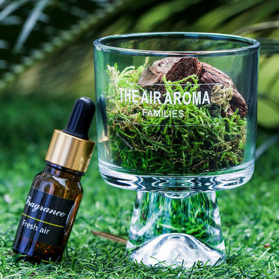 Diseñador 100ml Moss Diffuser Set Regalo Mantener el aire fresco con aceite perfumado creativo