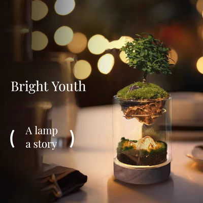 Invernaderos de vidrio de diseño moderno lámpara Terrarios de fibra de vidrio para decoración del hogar de bonsai