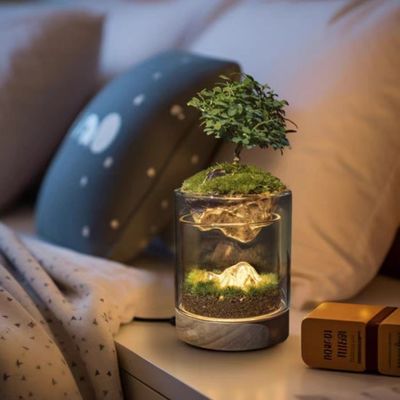 Lámpara de invernadero de fibra de vidrio de la planta de madera de escarabajo para piso de bonsai moderno / decoración del centro comercial