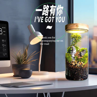 Invernaderos modernos de vidrio de mesa lámpara Terrarios de fibra de vidrio para plantar plántulas