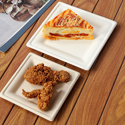 Tamaño personalizado placas de comida desechables biodegradables para fiestas y eventos