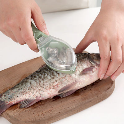 Saludos para limpiar los mostradores de la cocina con este raspador manual de escamas de pescado