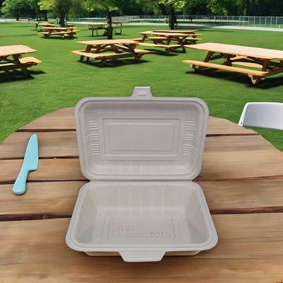 Contenedor de alimentos biodegradable desechable Cuadro duradero de plástico