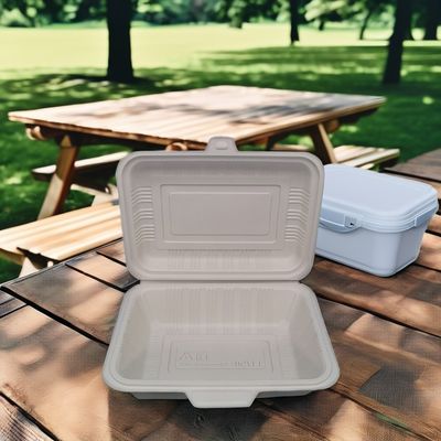 Contenedor de alimentos biodegradable desechable Cuadro duradero de plástico