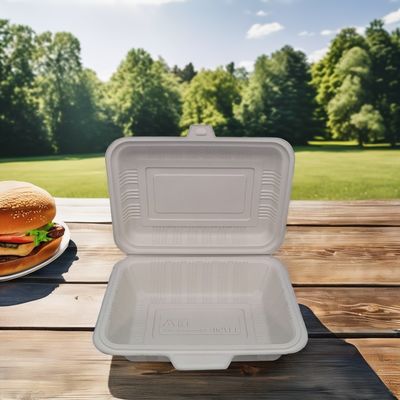 Cajas de comida de plástico cuadradas desechables, seguras para microondas, para almacenamiento y transporte de alimentos
