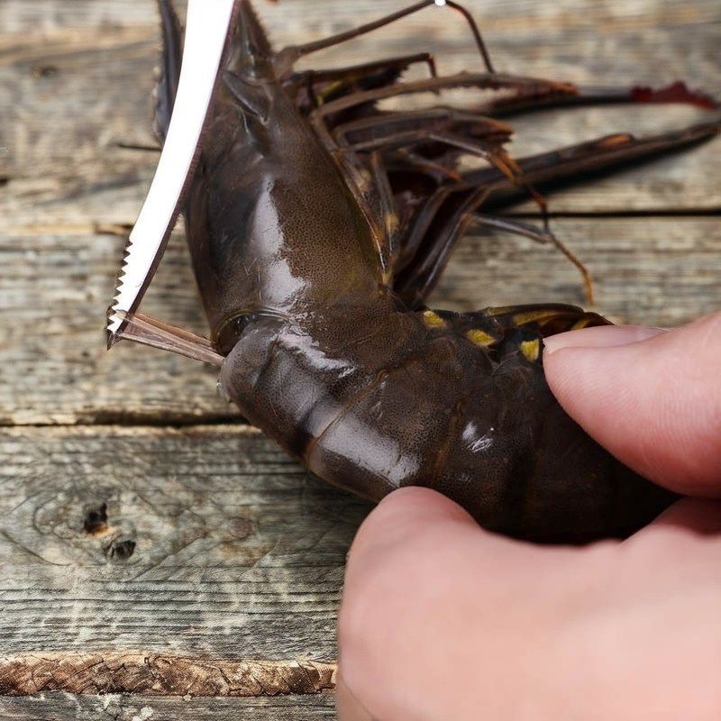 Limpieza rápida de camarones con trituradoras de verduras y cuchillo de estómago de pescado de acero inoxidable