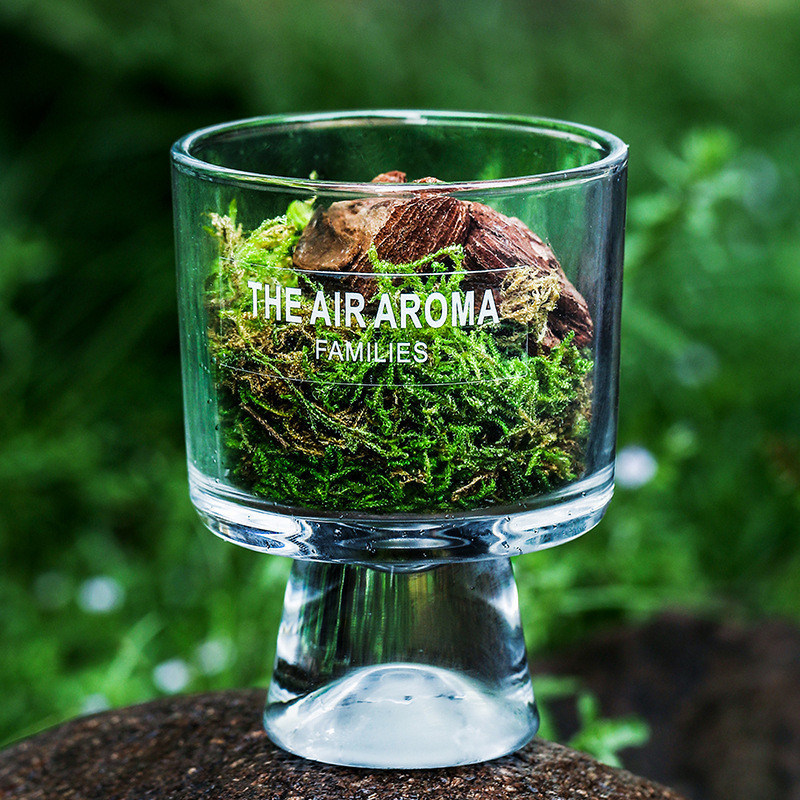 Logotipo de los clientes Luxury Reed Diffuser Set con aceite perfumado creativo en botella de vidrio de 100 ml